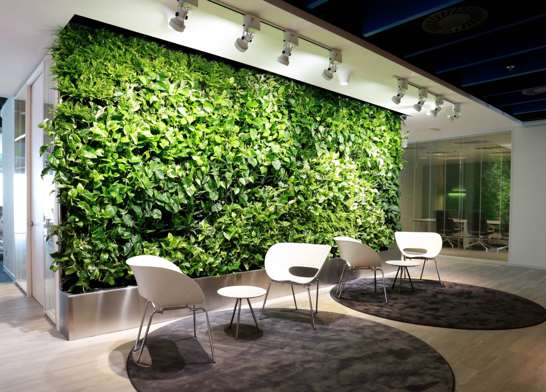 Know your light conditions for indoor plants Planters